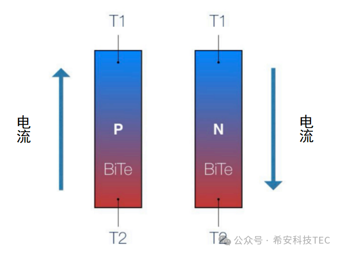 TEC ဘယ်လိုအလုပ်လုပ်သလဲ။